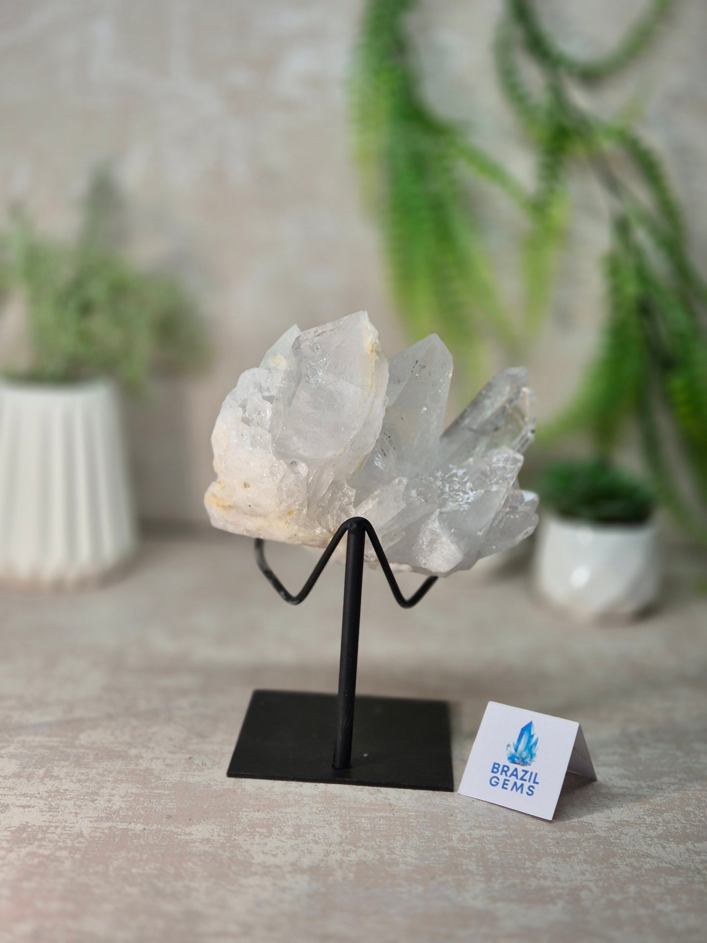 Lemurian Quartz Cluster on stand