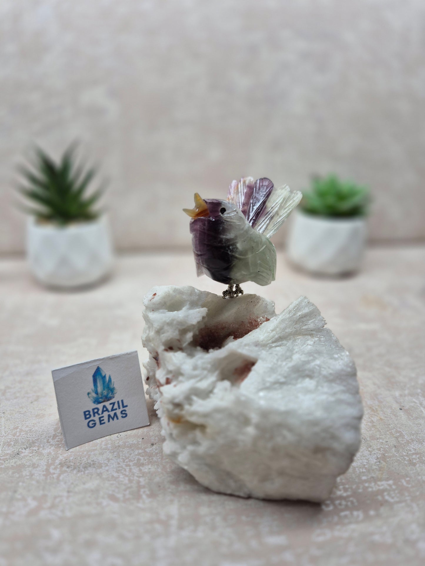 Fluorite Bird on Albite Base
