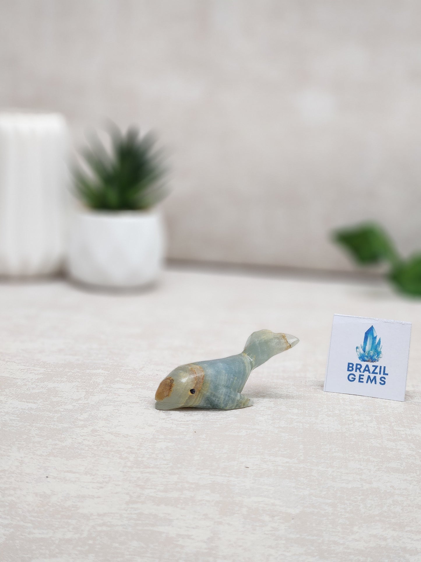 Argentinian Onyx Whale