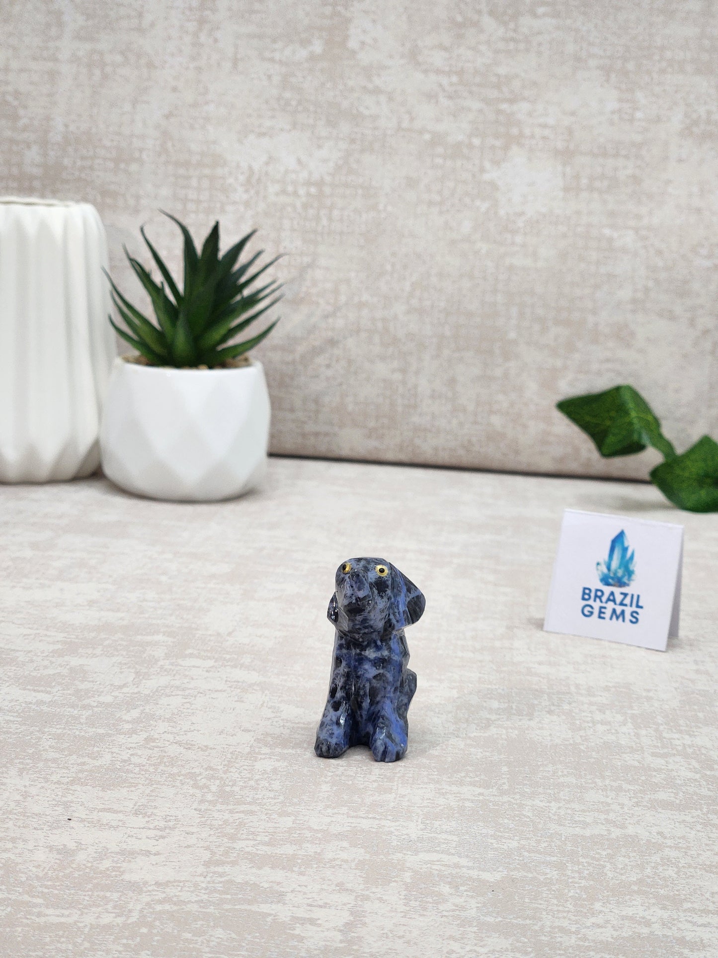 Sodalite Dog