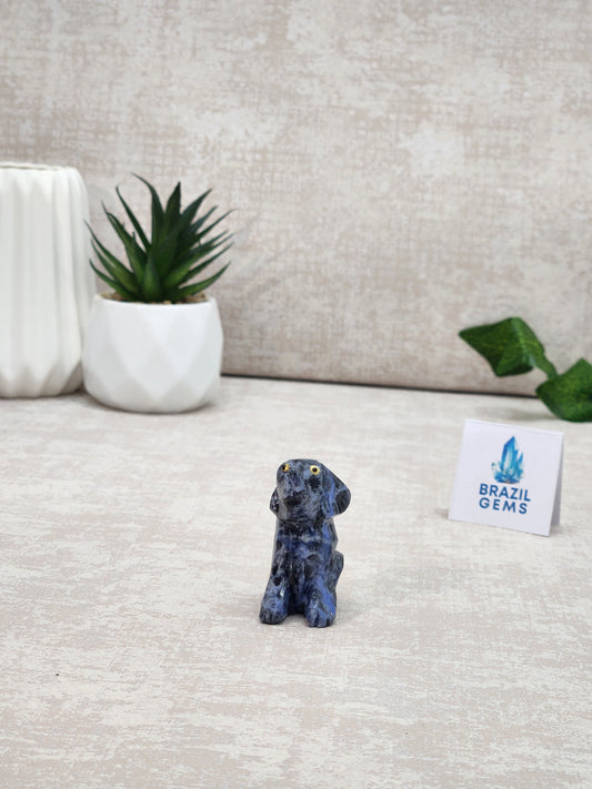 Sodalite Dog