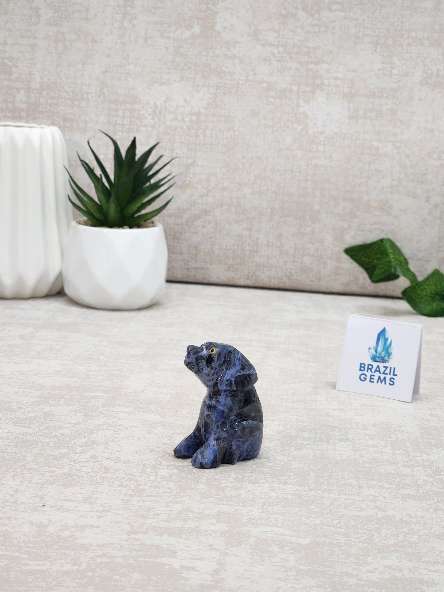 Sodalite Dog