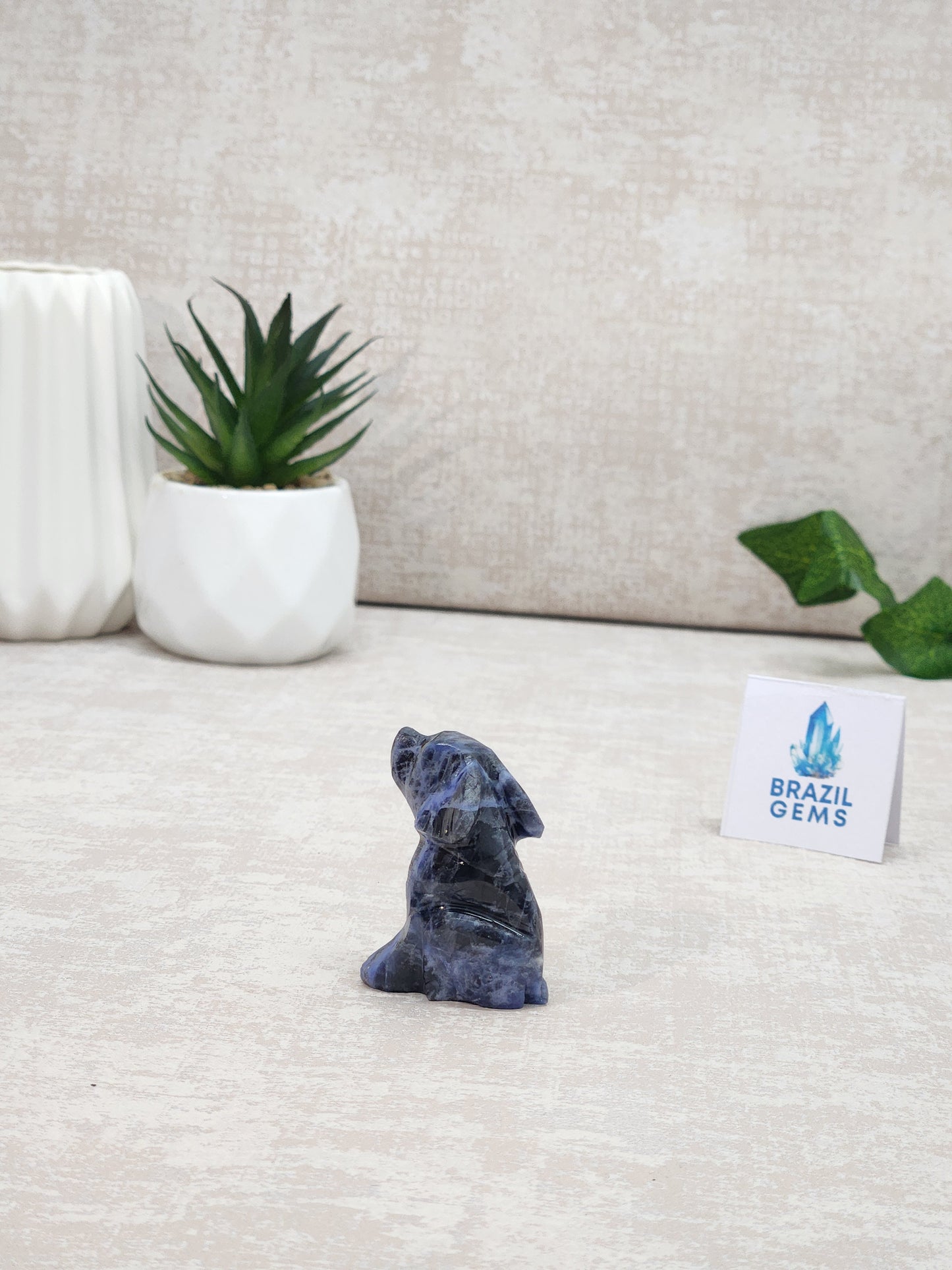 Sodalite Dog
