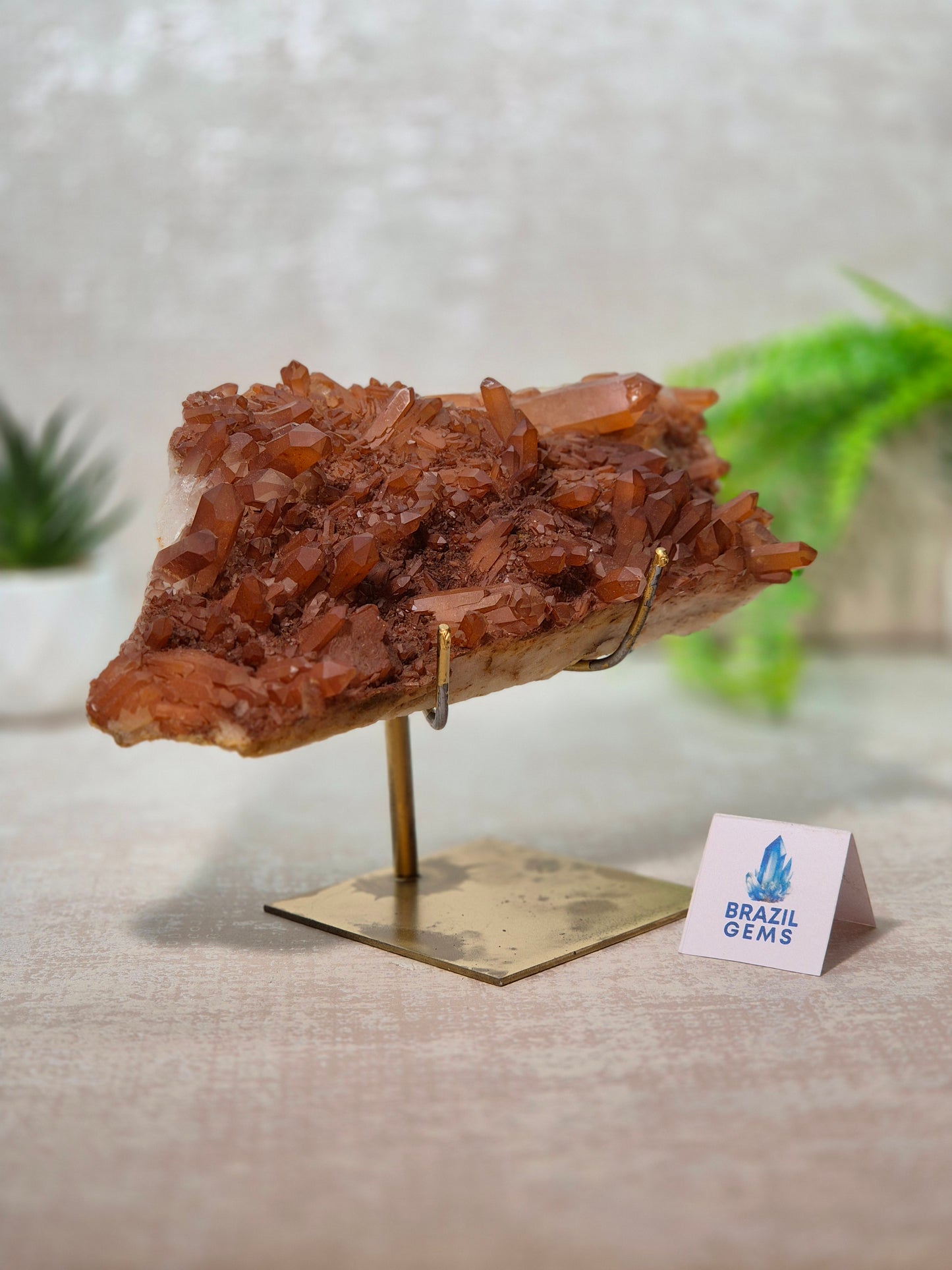Tangerine Quartz Cluster on stand