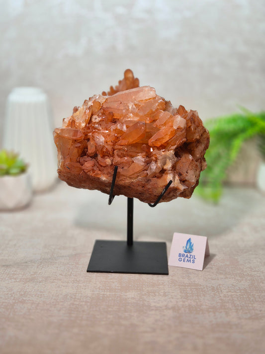 Tangerine Quartz Cluster on stand