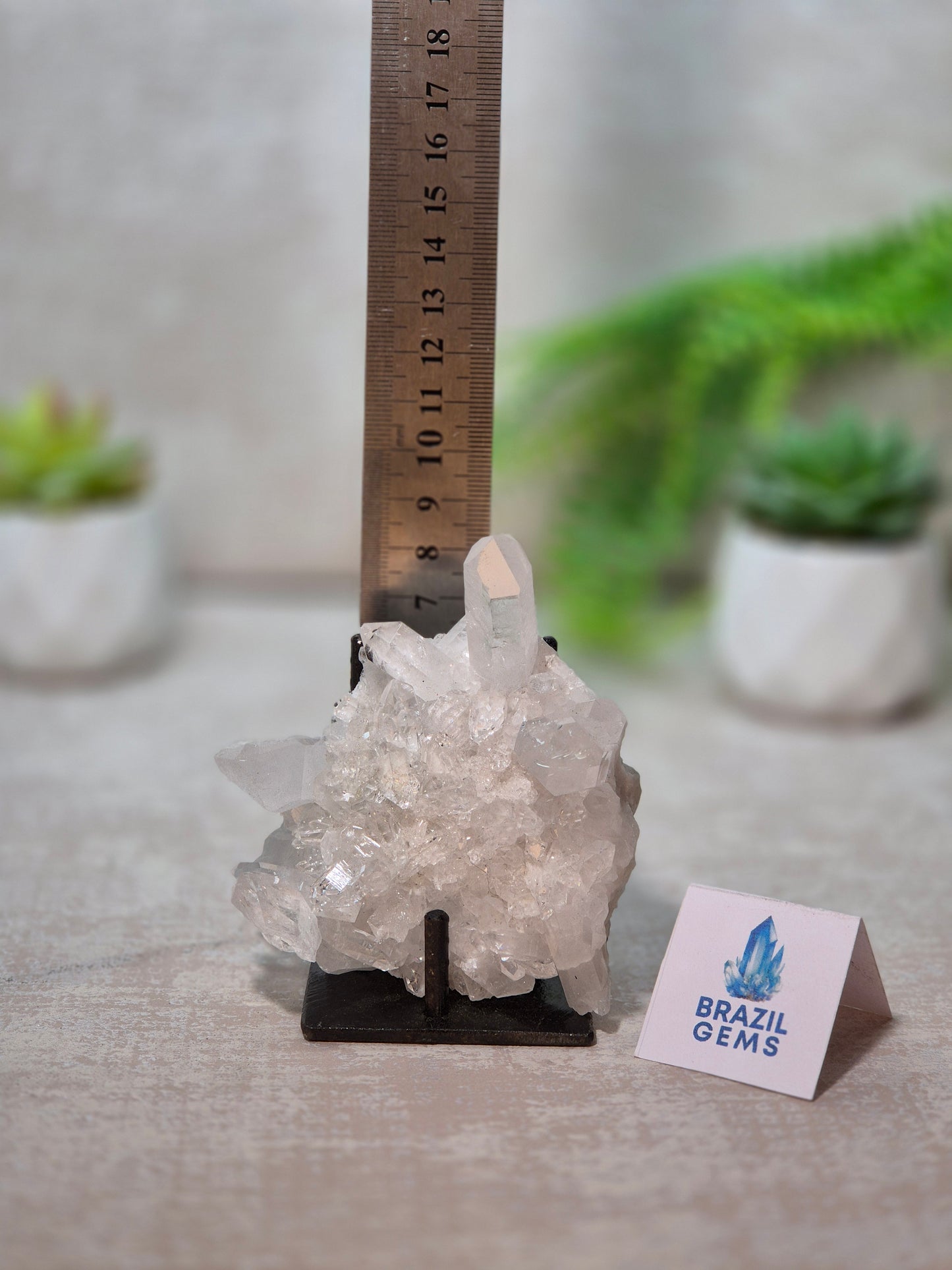 Clear Quartz Cluster on stand