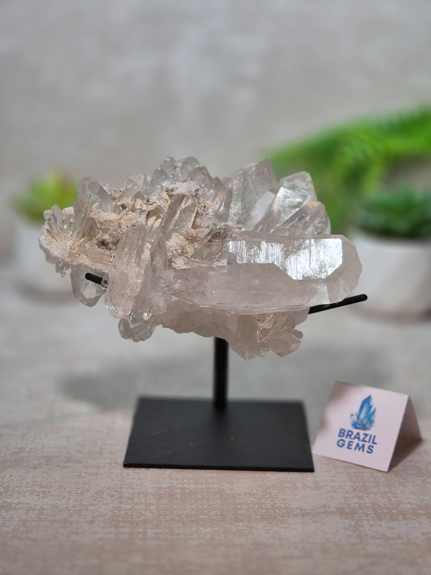 Clear Quartz Cluster on stand