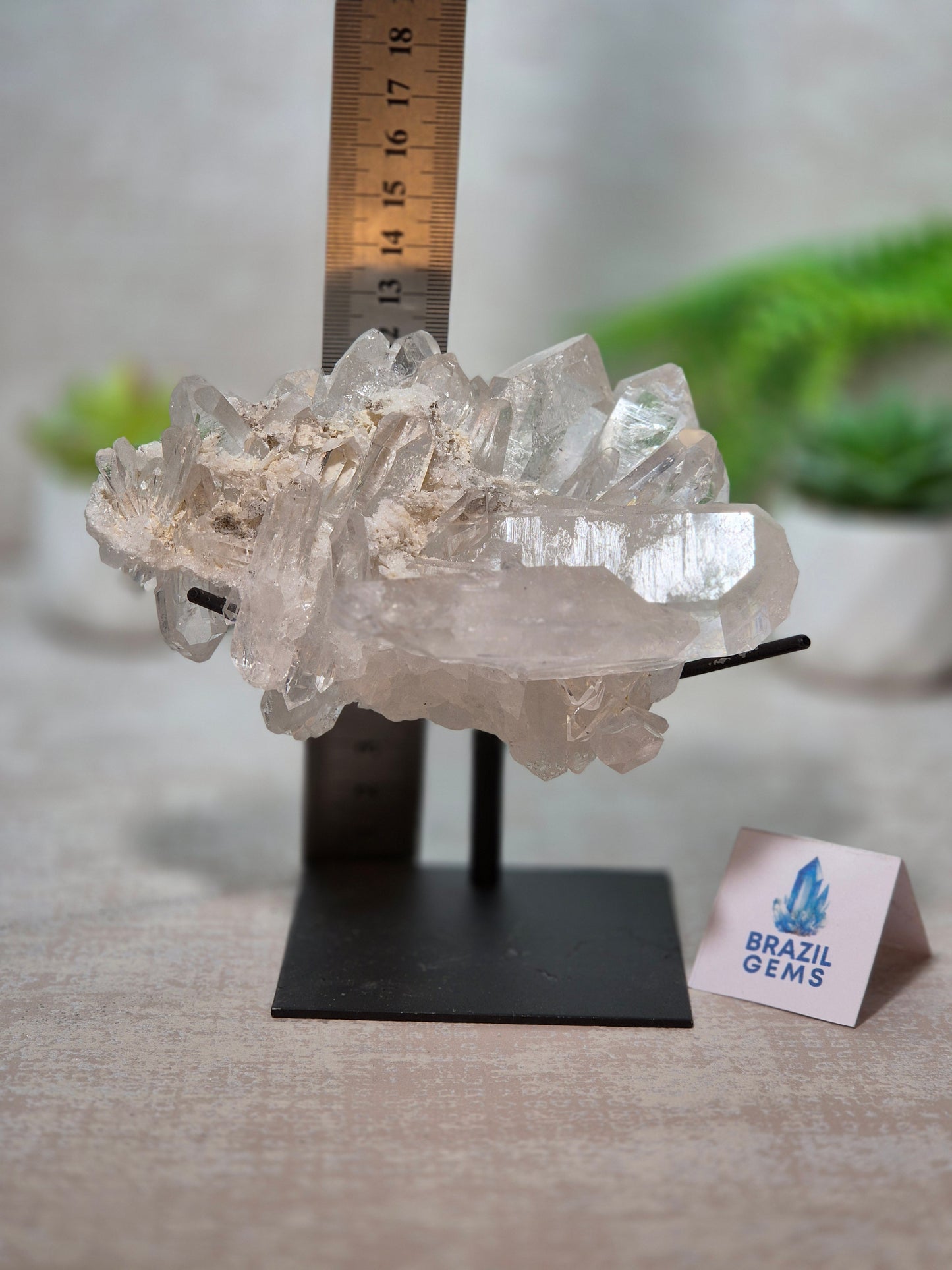 Clear Quartz Cluster on stand