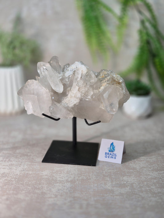 Clear Quartz Cluster on stand