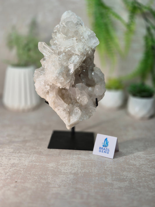 Clear Quartz Cluster on stand