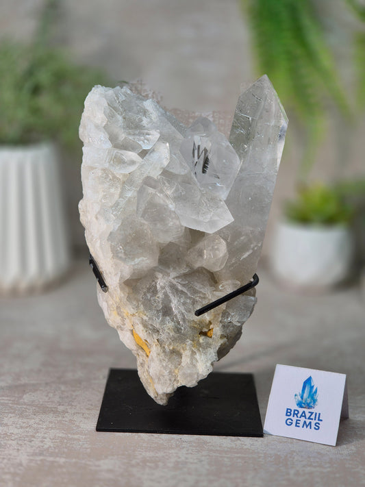 Clear Quartz Cluster on stand