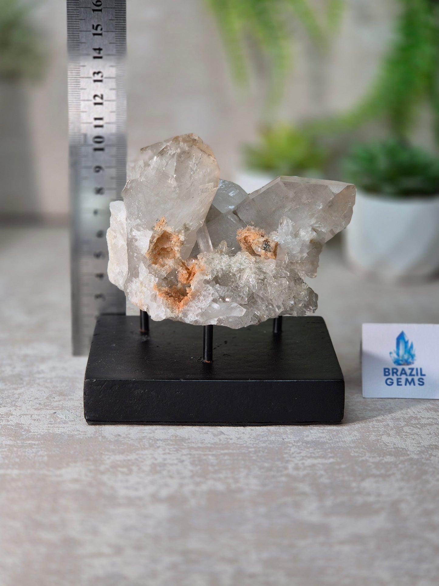 Clear Quartz Cluster on stand