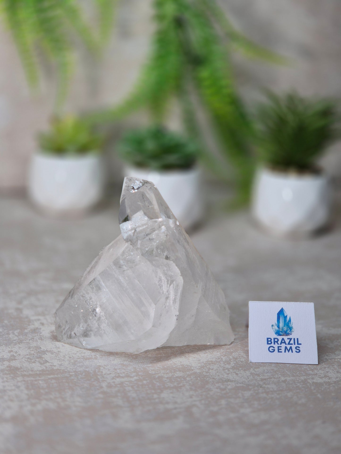 Lemurian Quartz Cluster