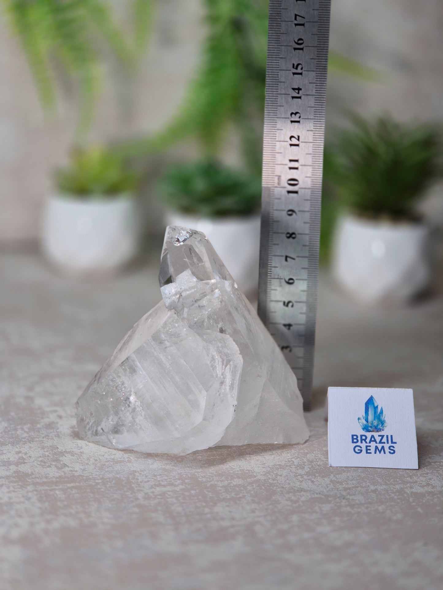 Lemurian Quartz Cluster