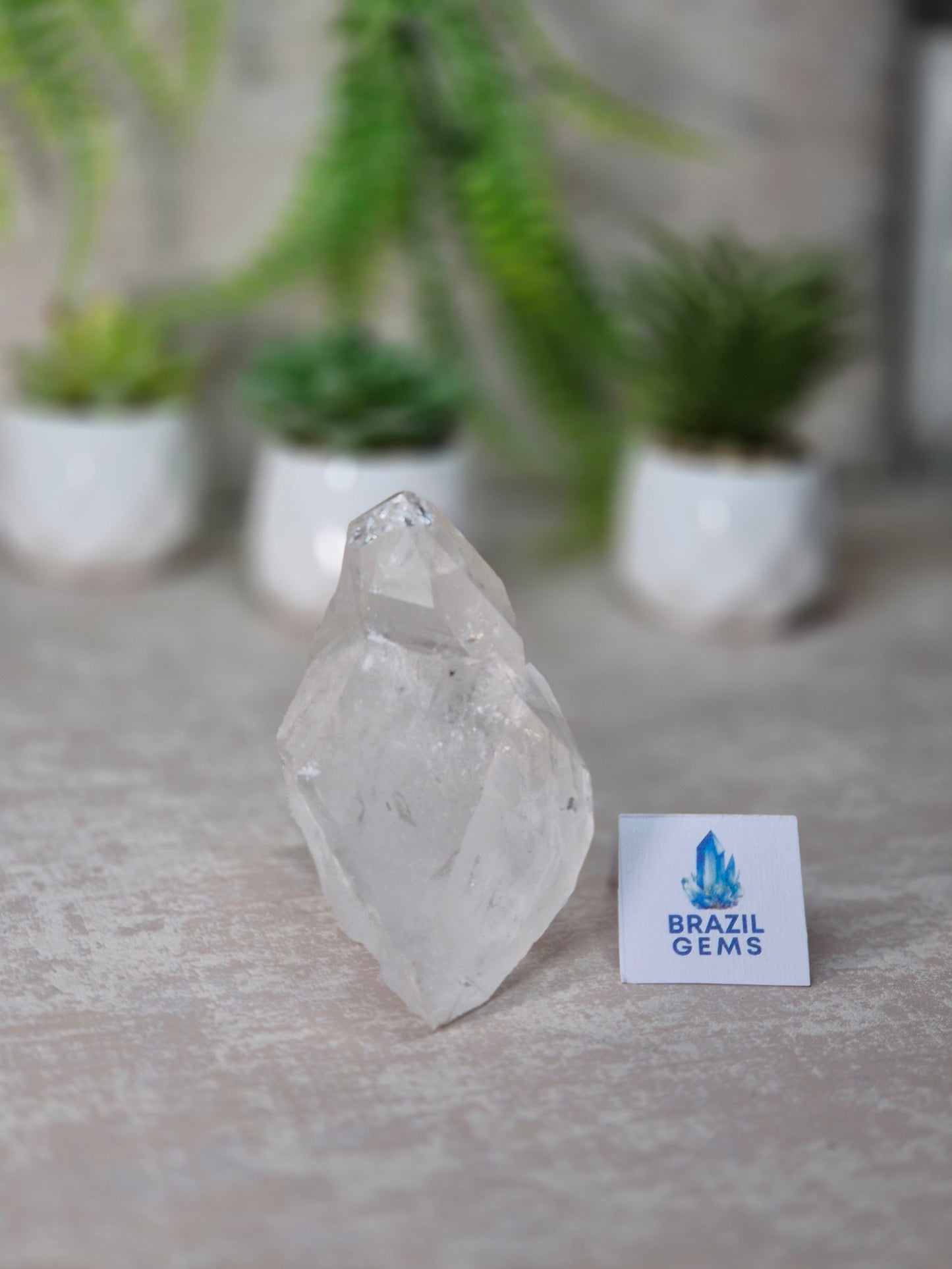 Lemurian Quartz Cluster