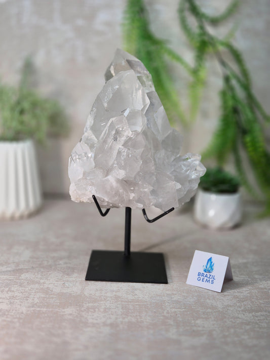 Lemurian Quartz Cluster on stand