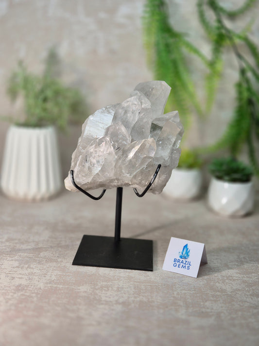 Lemurian Quartz Cluster on stand