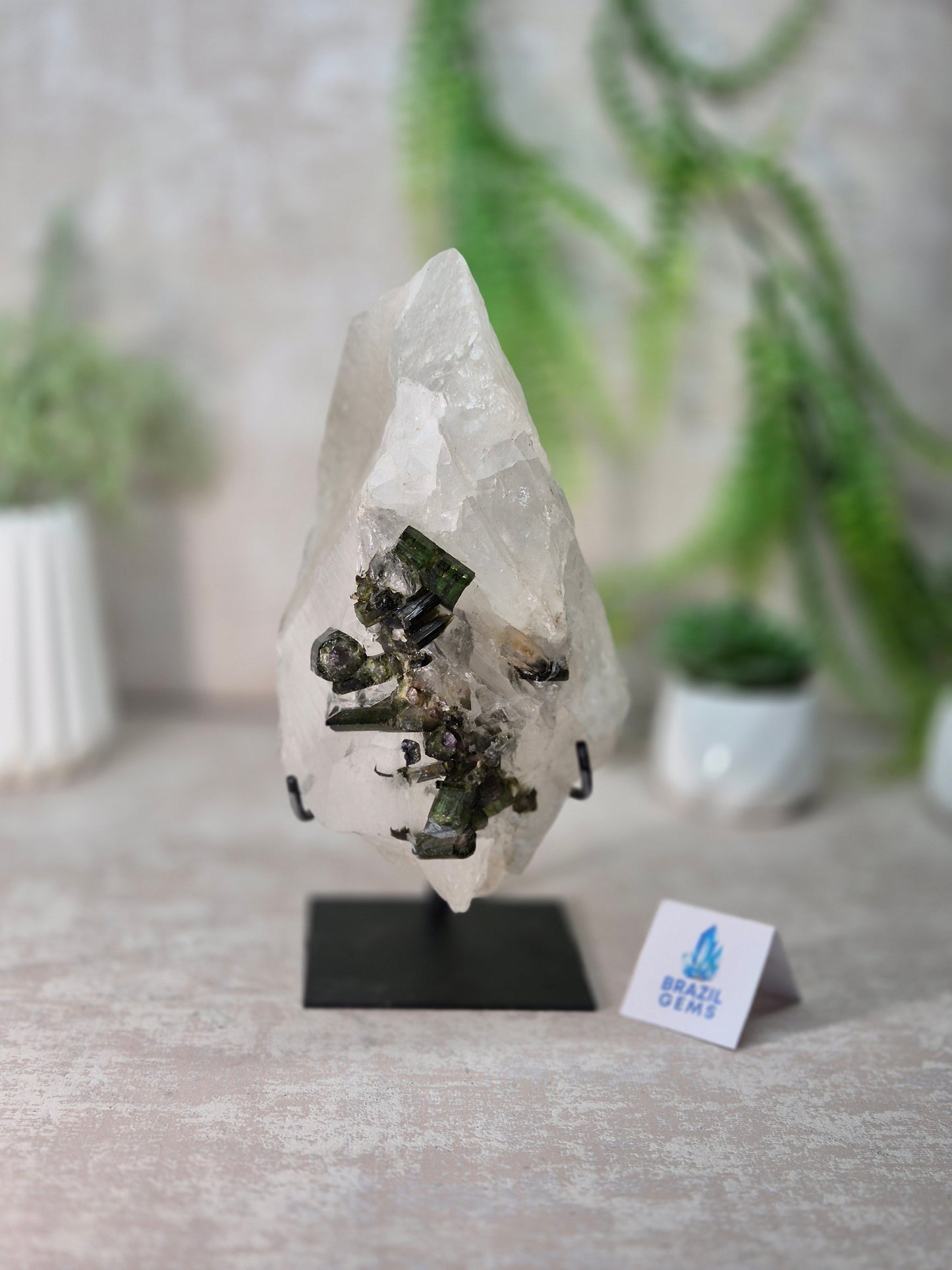 Watermelon Tourmaline in the Clear Quartz