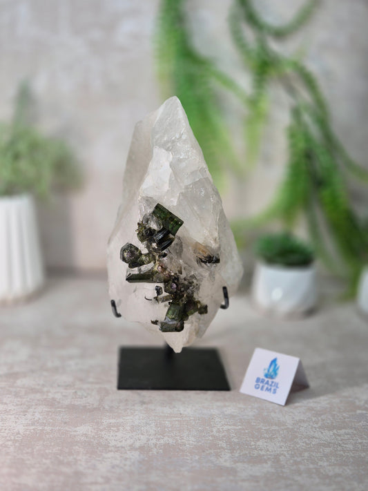 Watermelon Tourmaline in the Clear Quartz