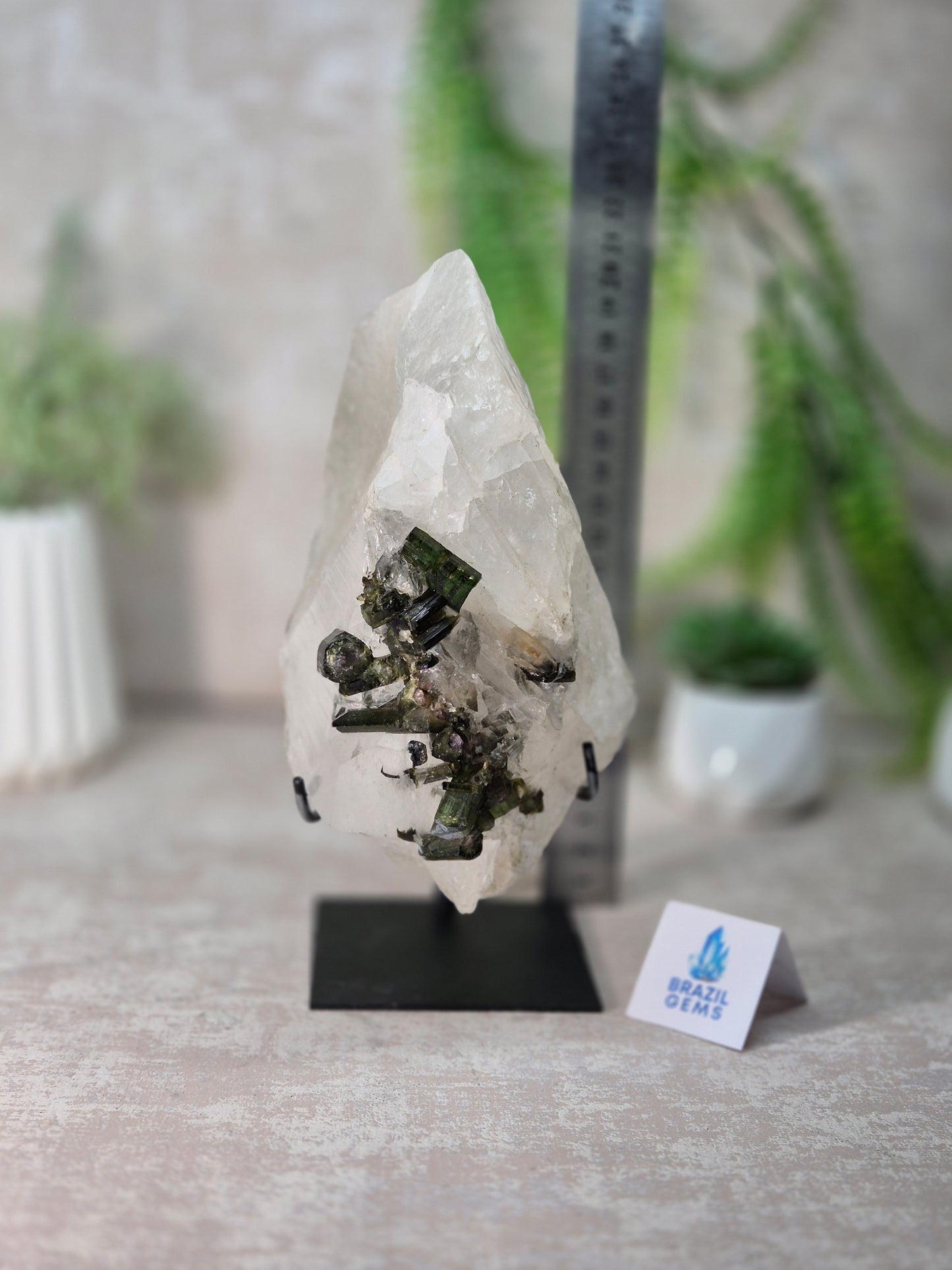 Watermelon Tourmaline in the Clear Quartz