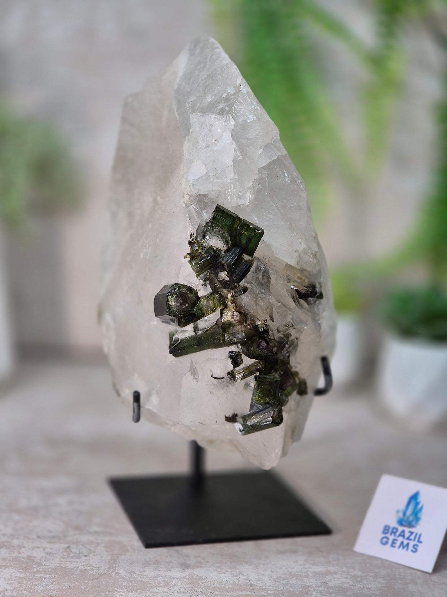 Watermelon Tourmaline in the Clear Quartz