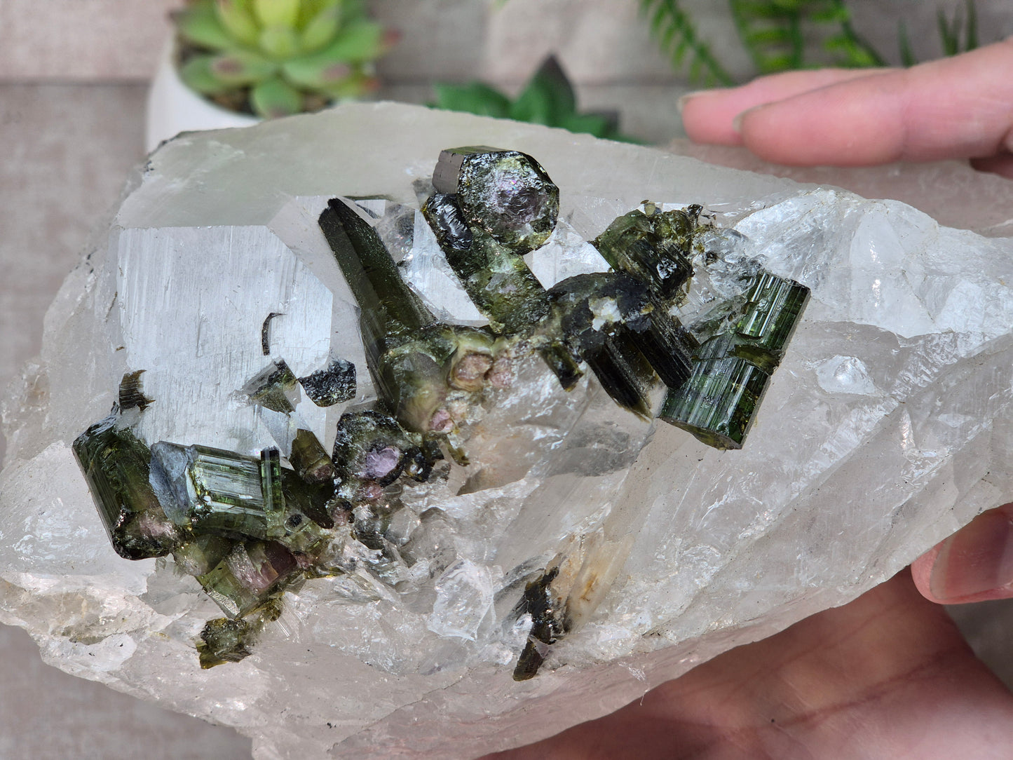 Watermelon Tourmaline in the Clear Quartz
