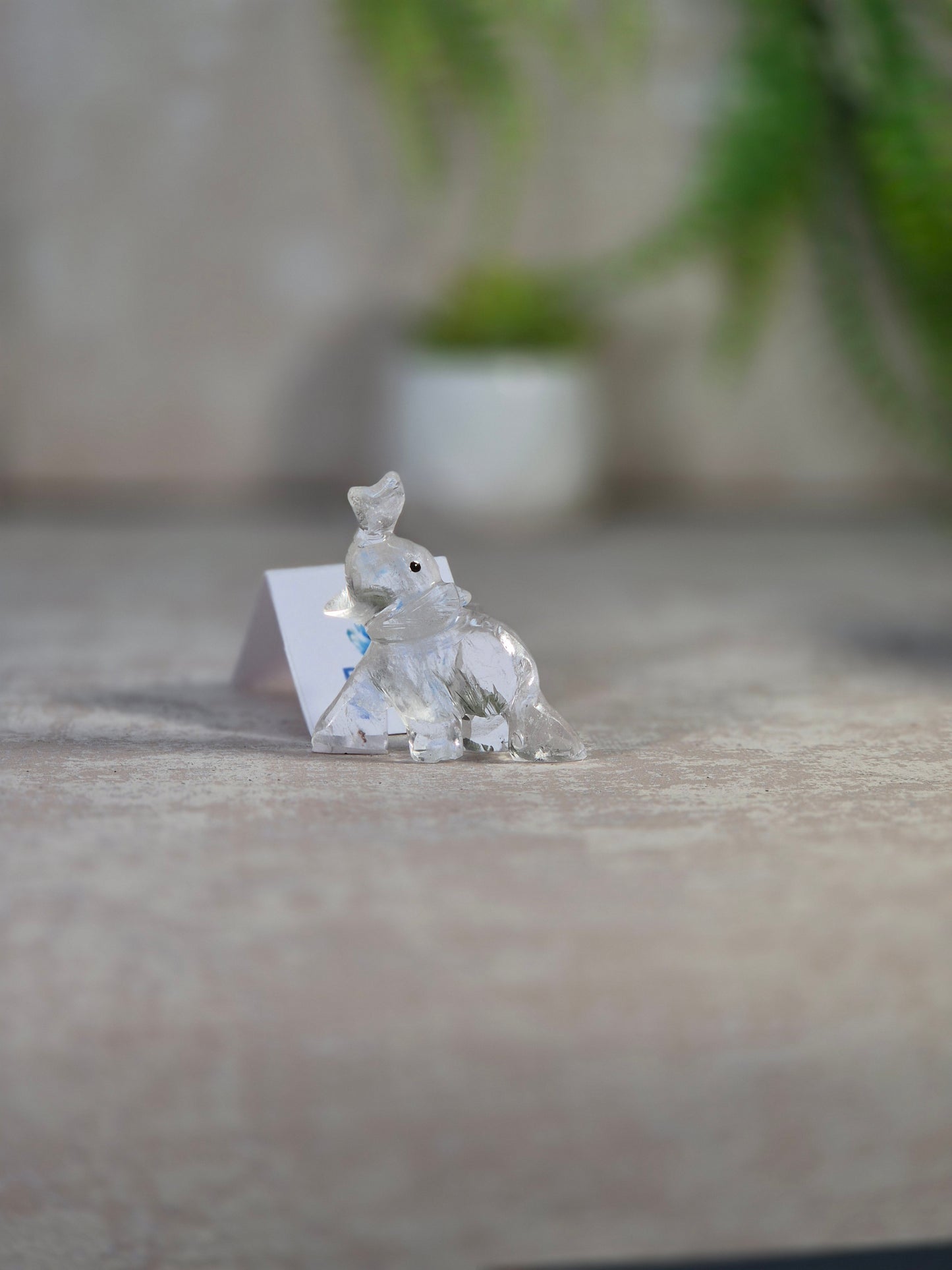 Clear Quartz Elephant