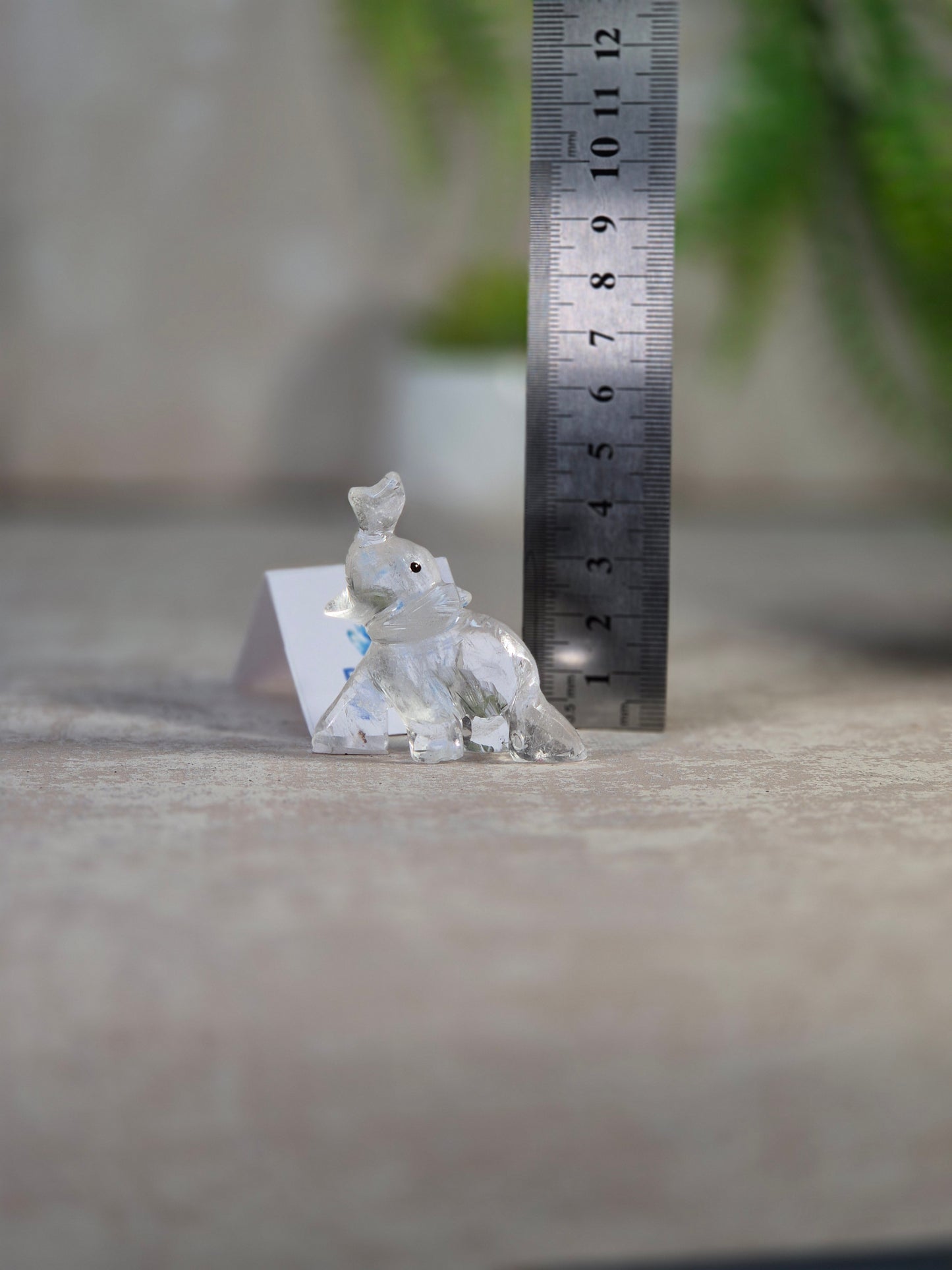 Clear Quartz Elephant