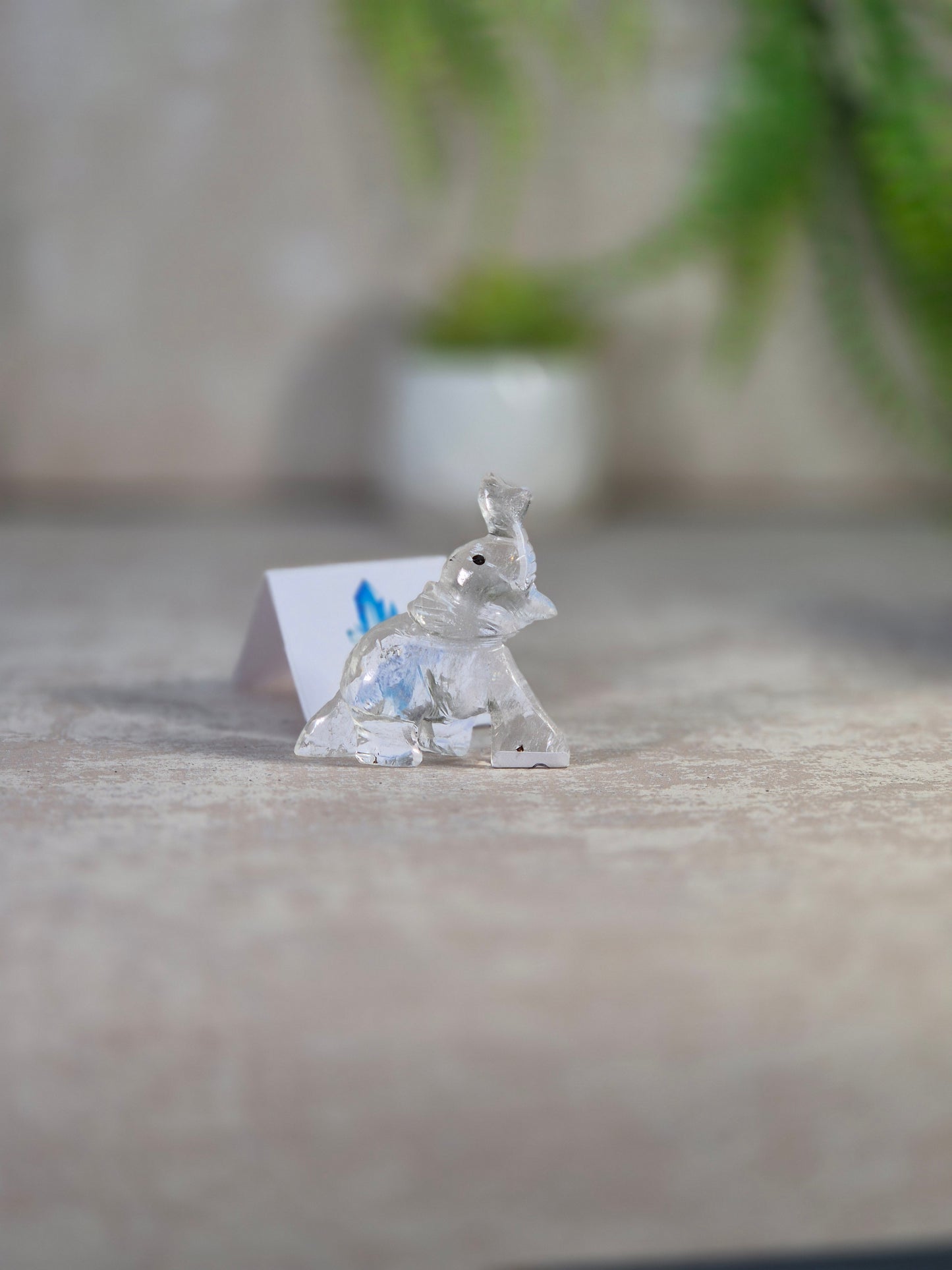Clear Quartz Elephant