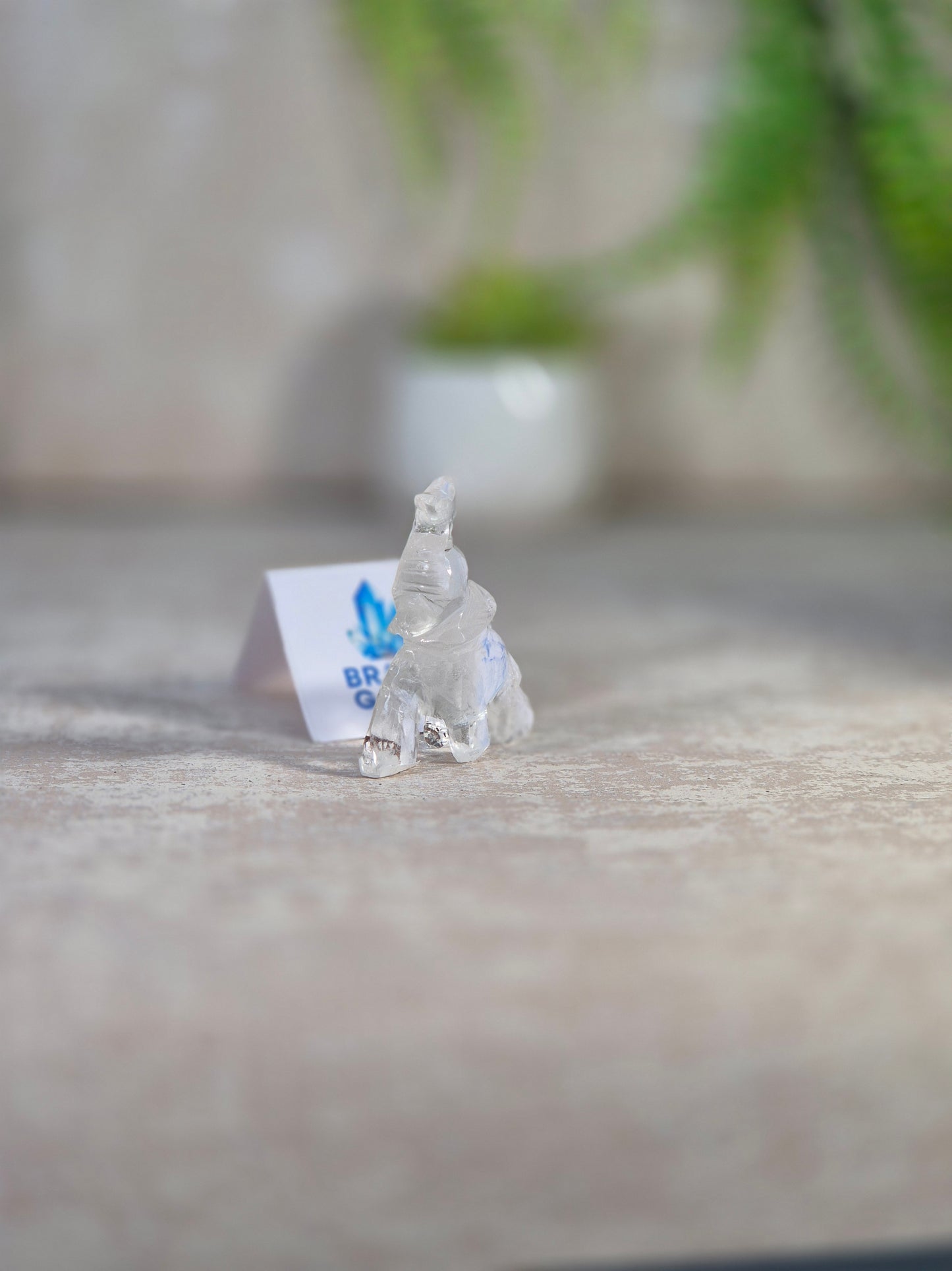 Clear Quartz Elephant