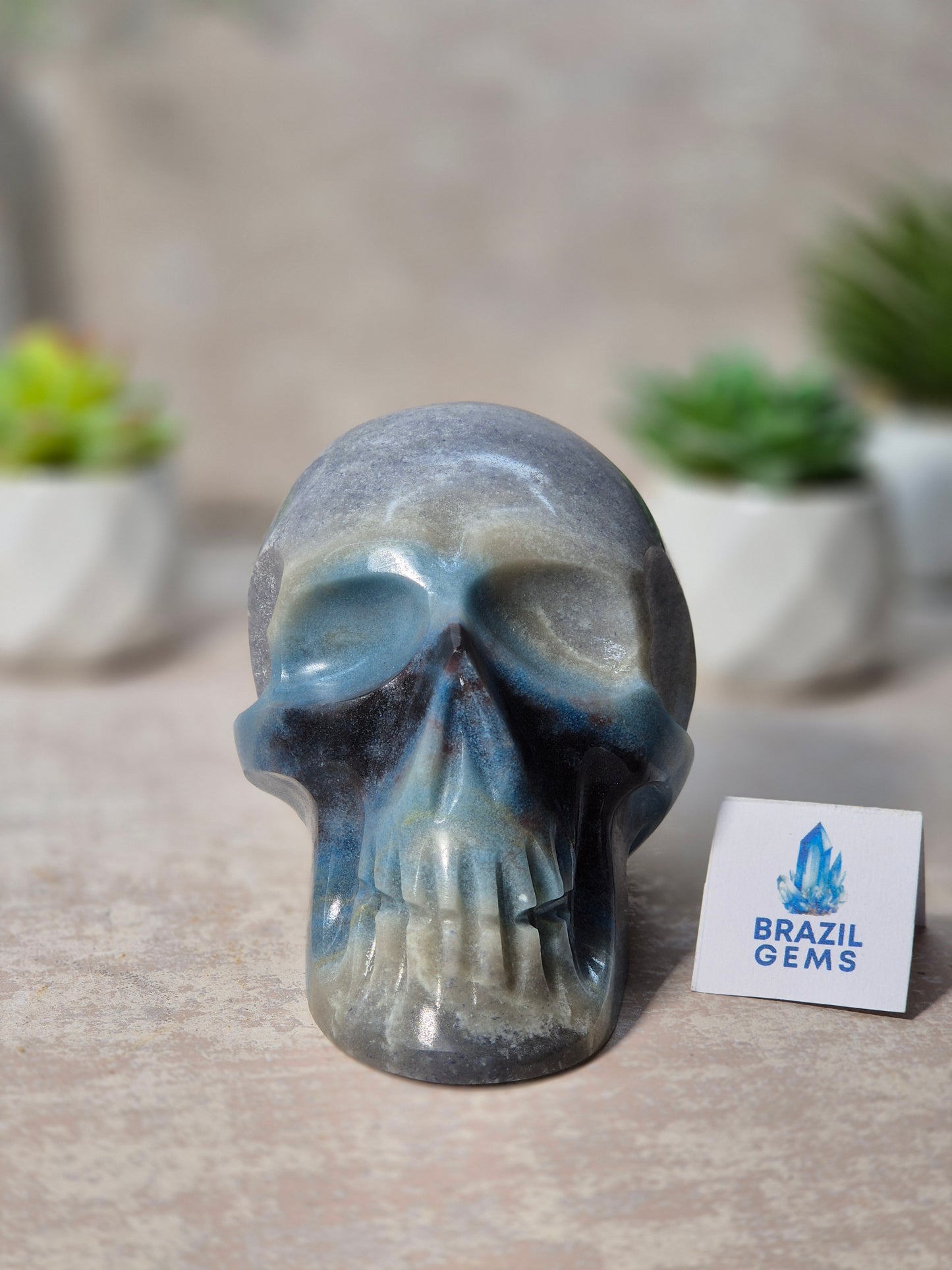 Trolleite Skull