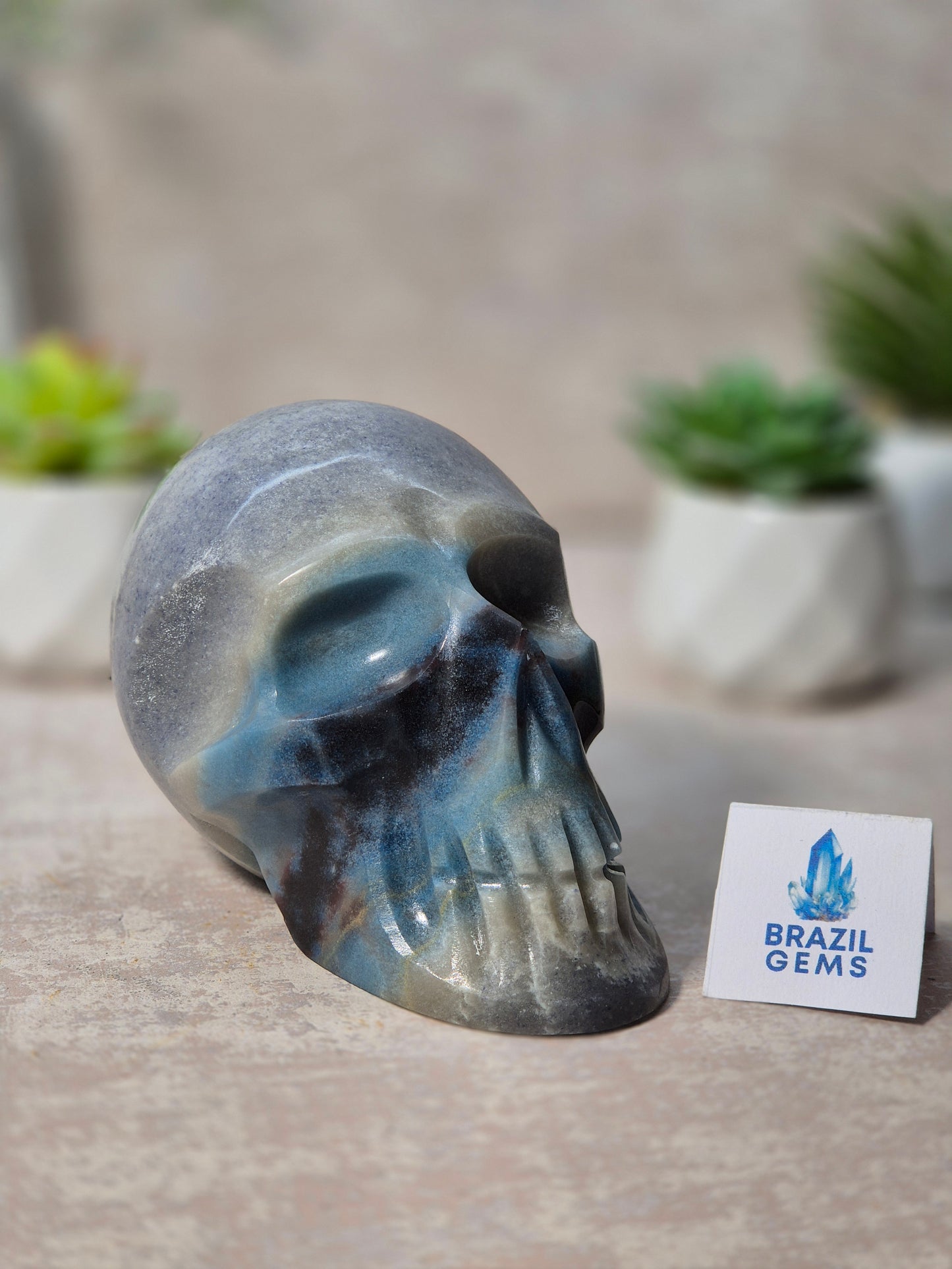 Trolleite Skull