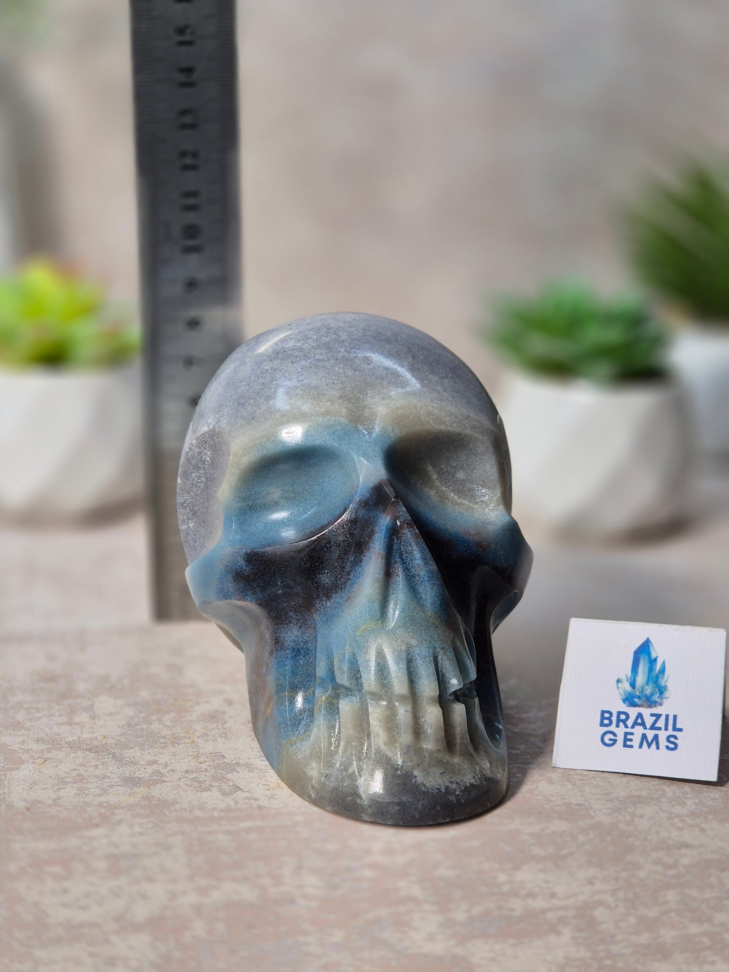 Trolleite Skull