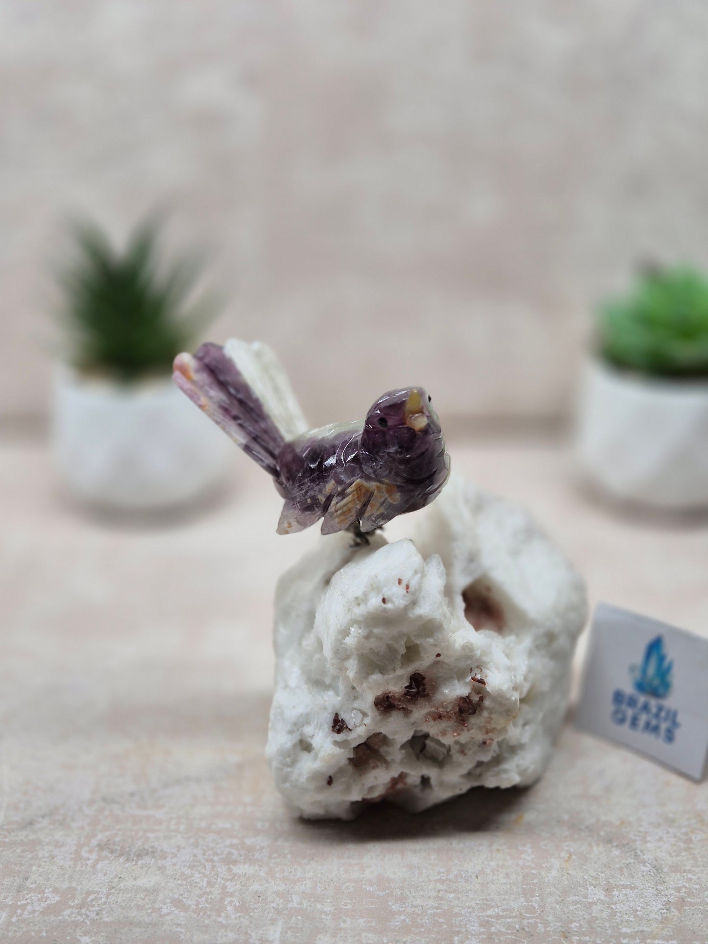 Fluorite Bird on Albite Base