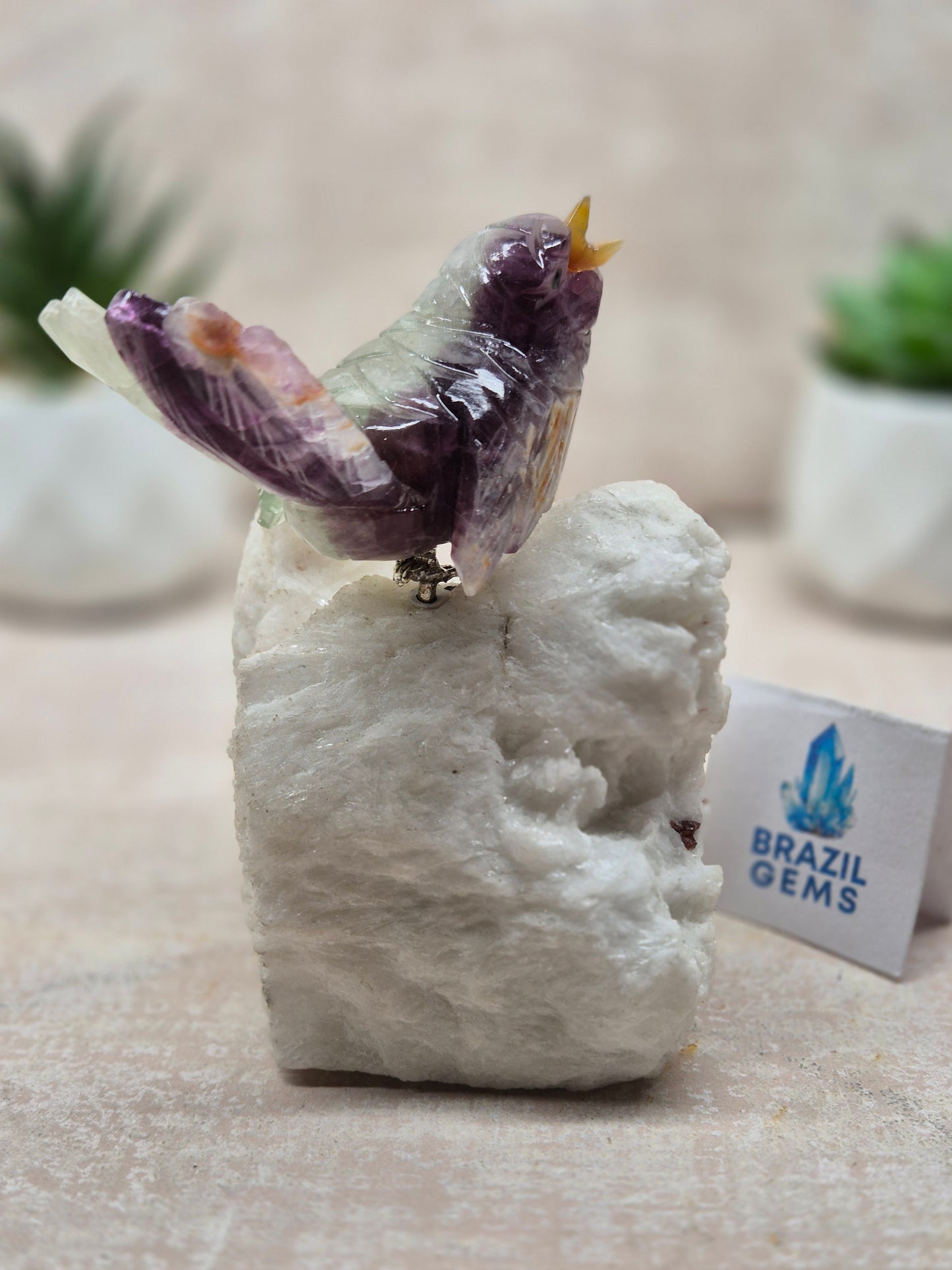 Fluorite Bird on Albite Base