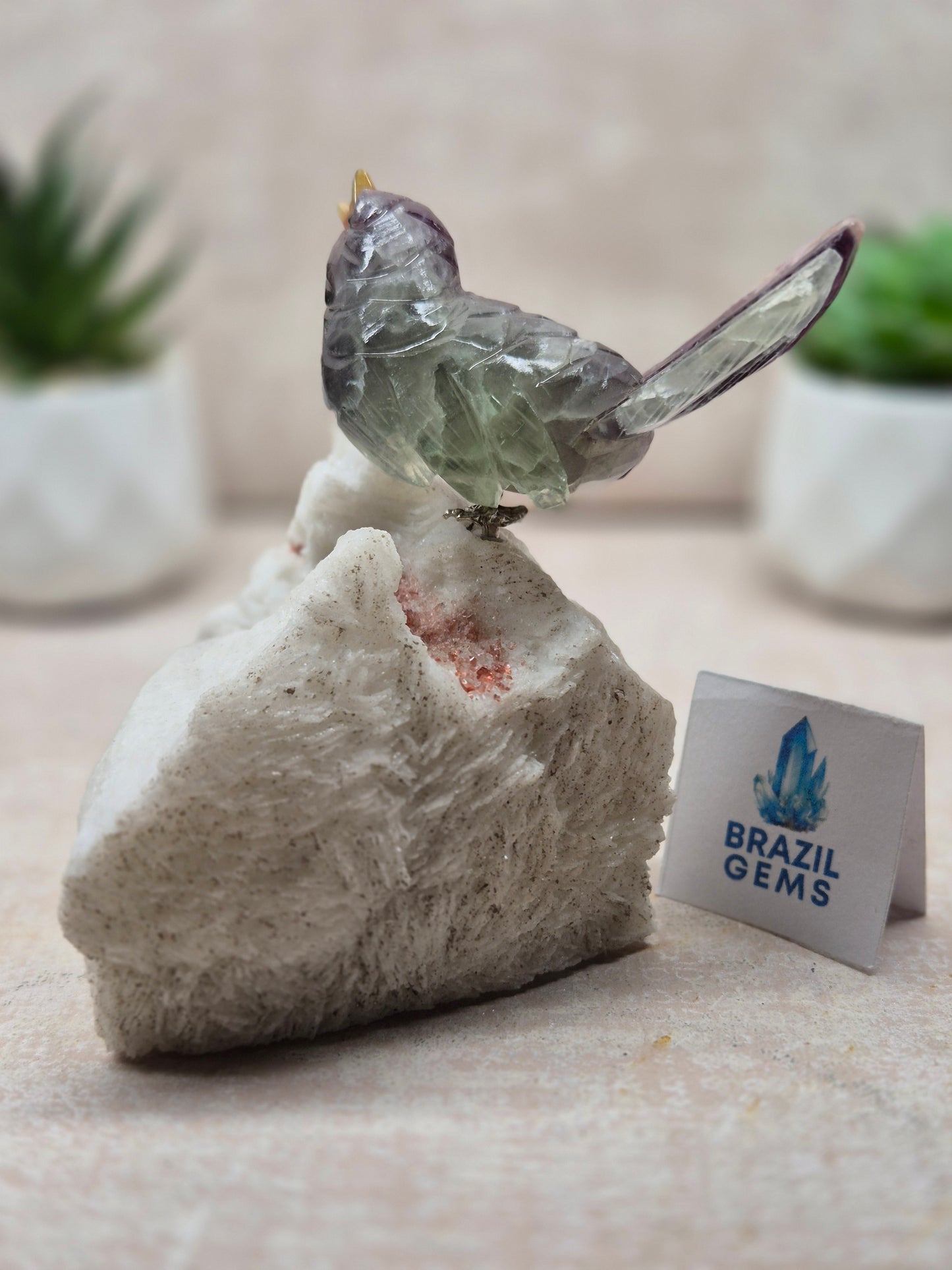 Fluorite Bird on Albite Base