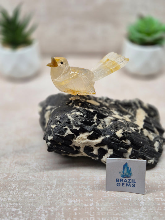 Yellow Hematoid Bird on Tourmalated Quartz Base