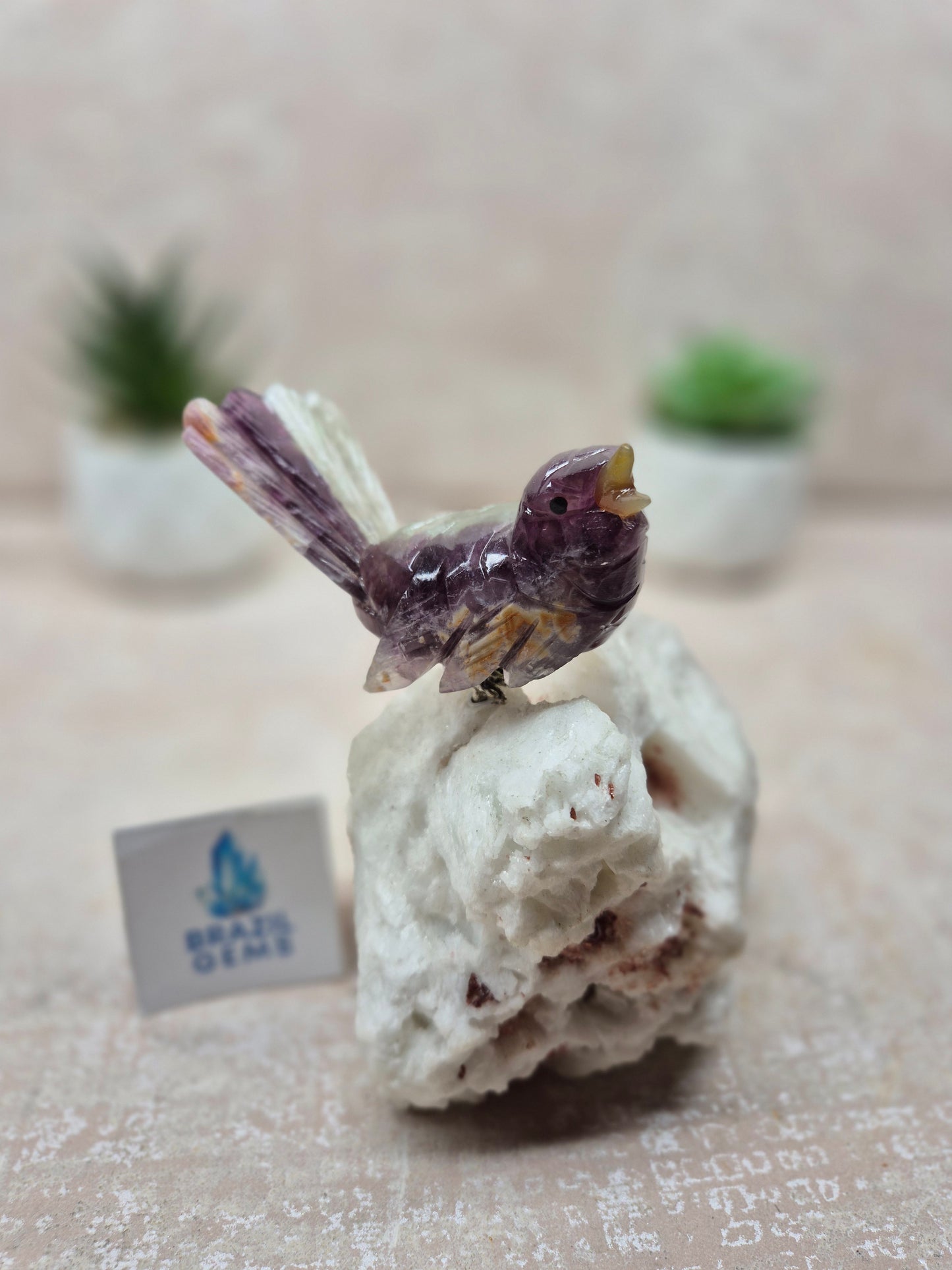 Fluorite Bird on Albite Base