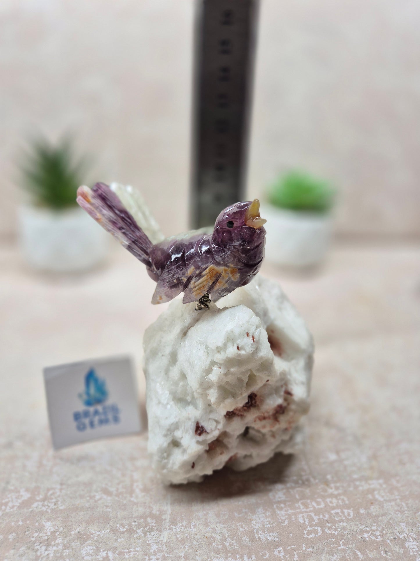 Fluorite Bird on Albite Base