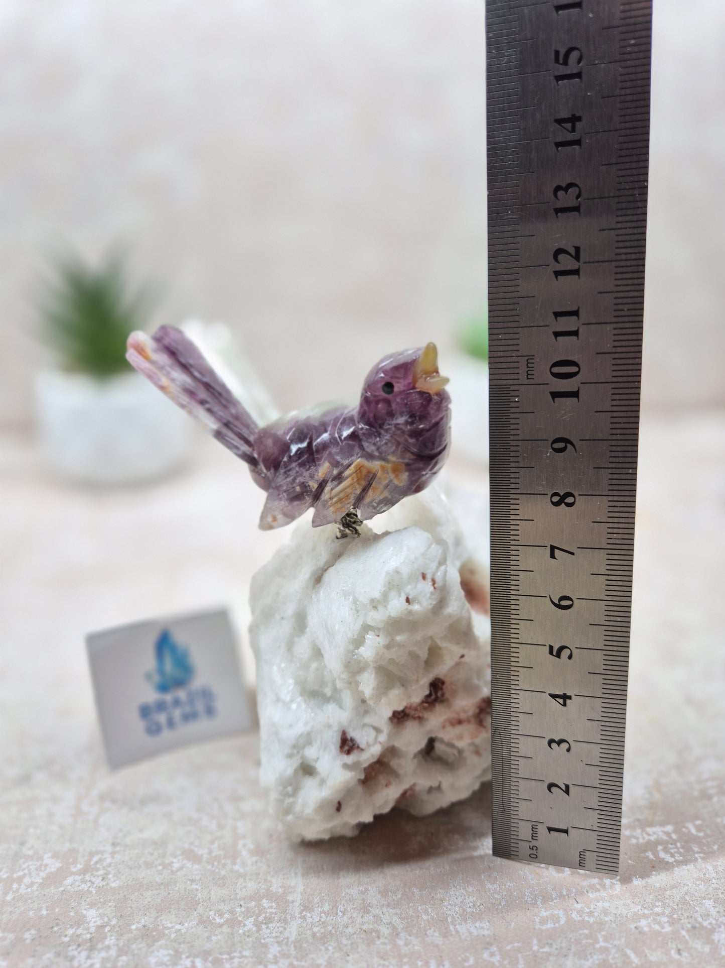 Fluorite Bird on Albite Base