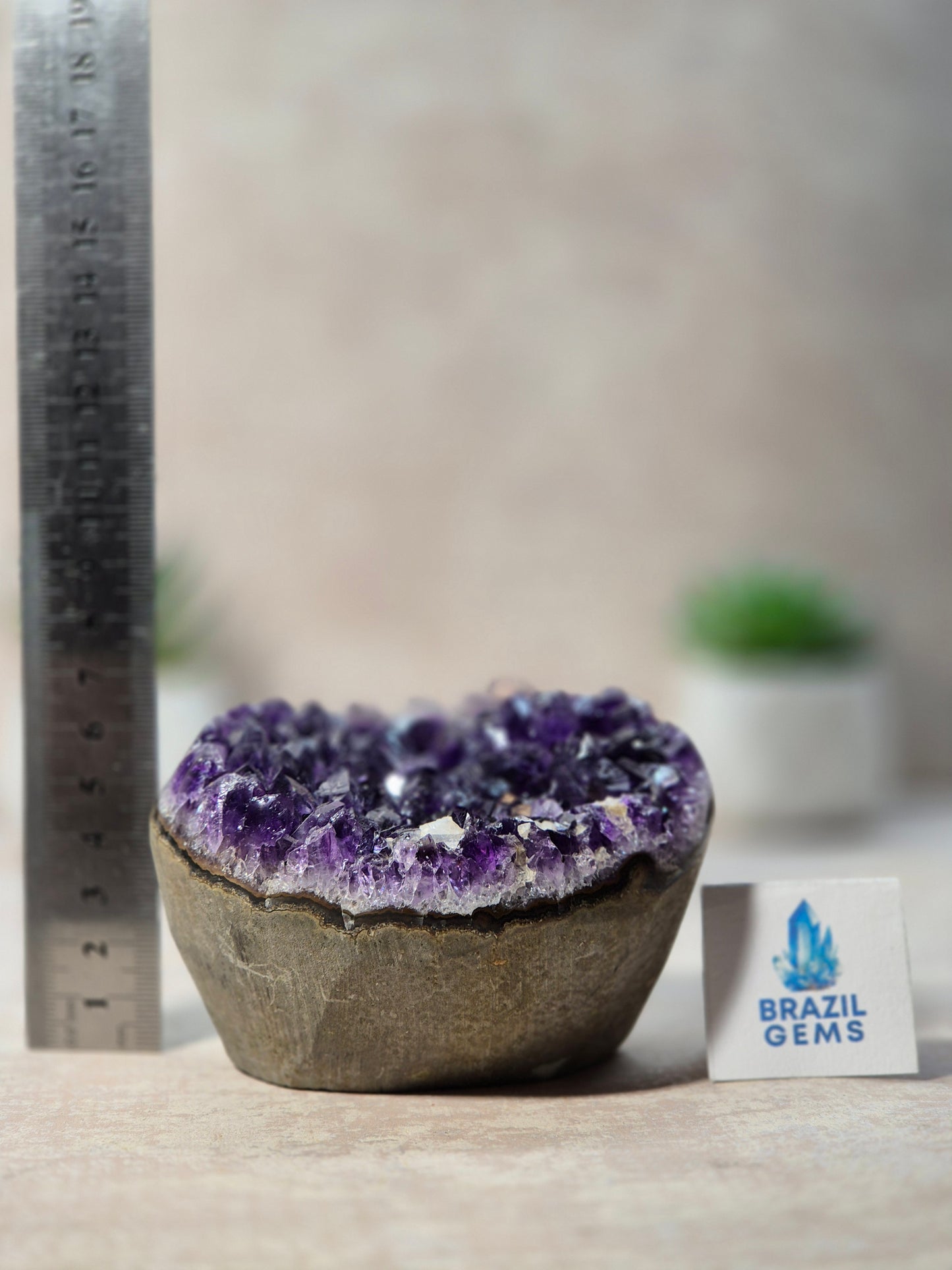 Amethyst Geode