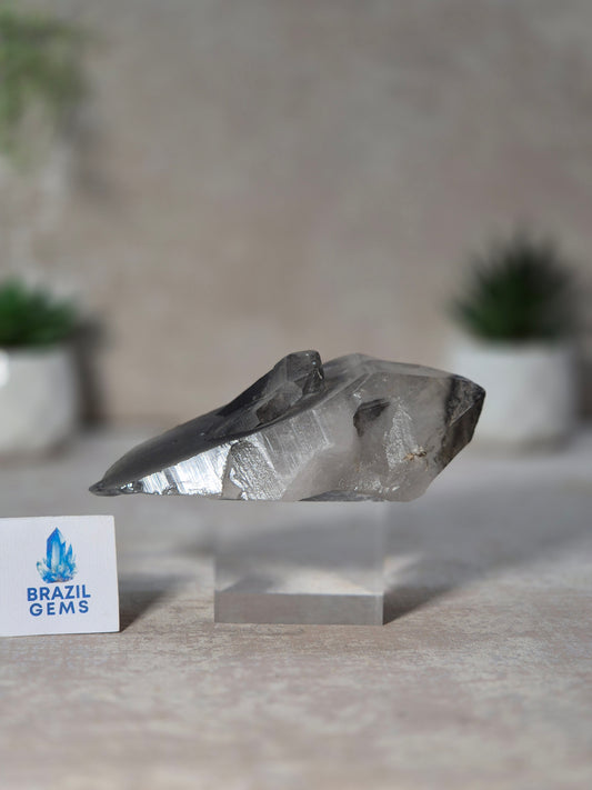 Black Phantom Lemurian Quartz