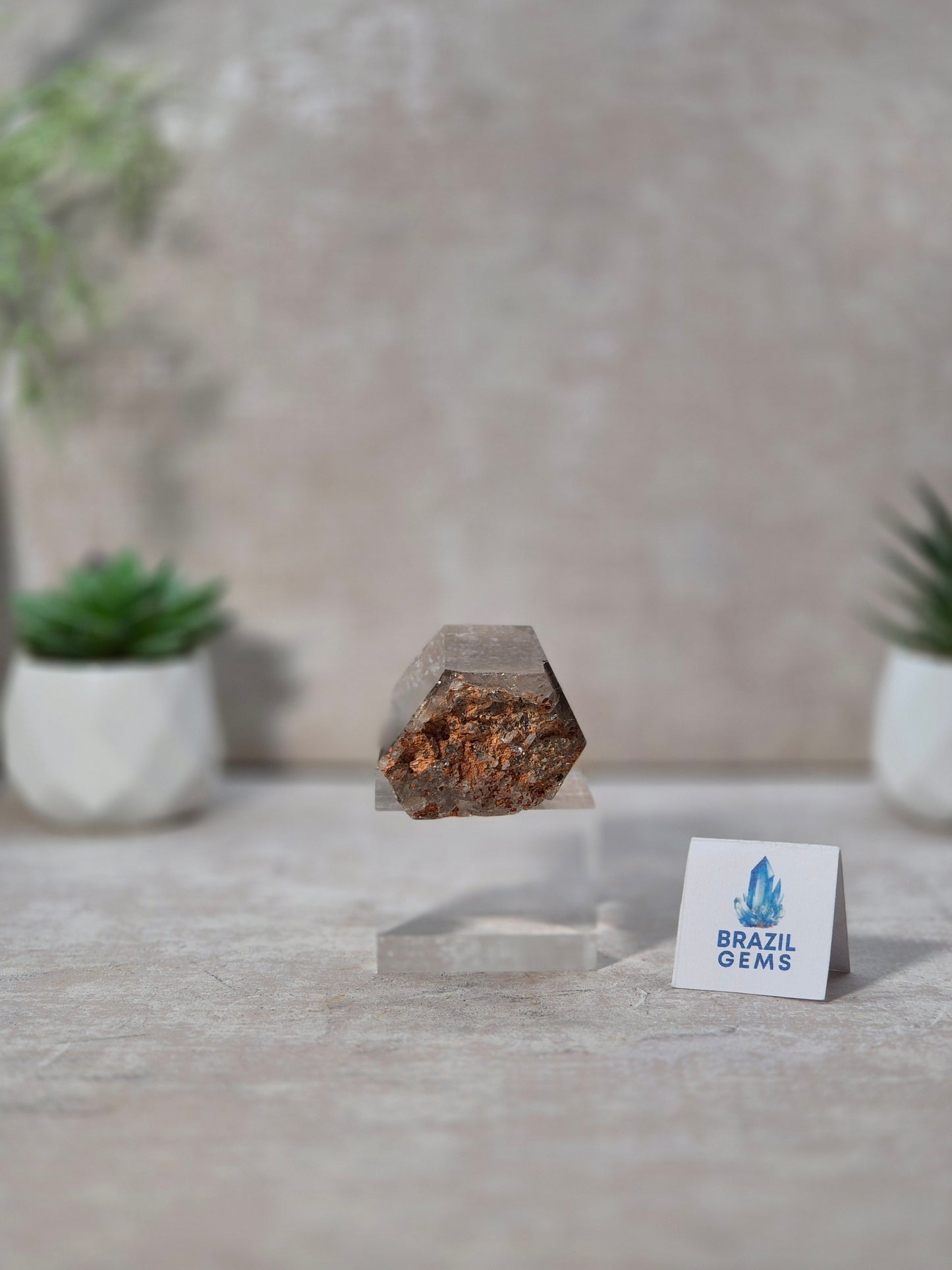 Golden Rutile in Smoky Quartz Point