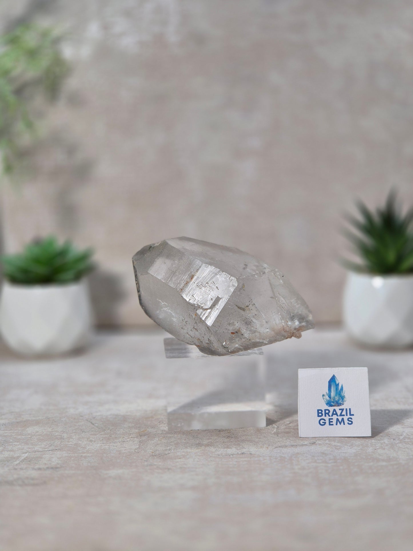 Black Phantom Lemurian Quartz