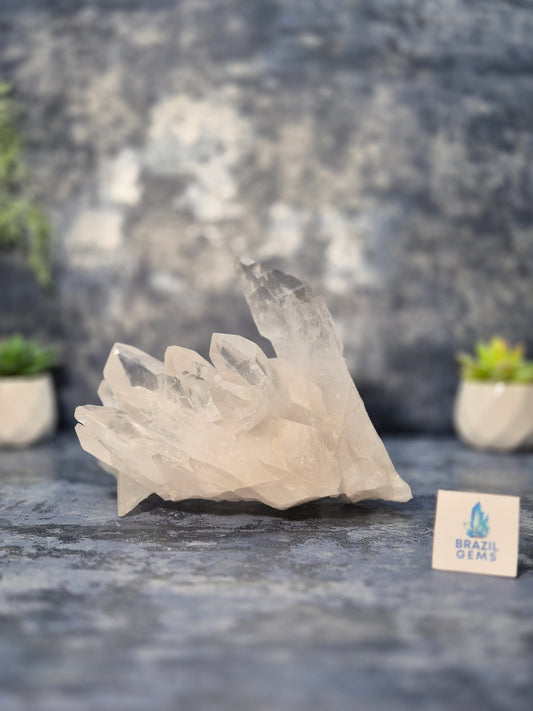 Lemurian Quartz Cluster