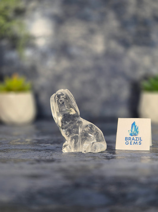 High Grade Clear Quartz Dog