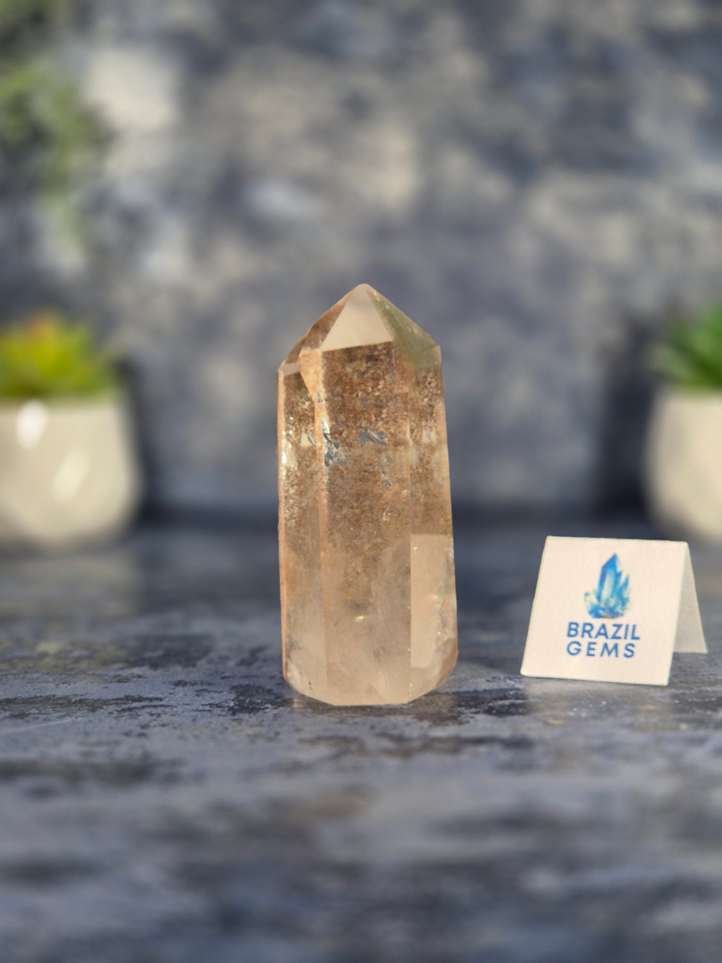 Clear Quartz Point with Lodolite