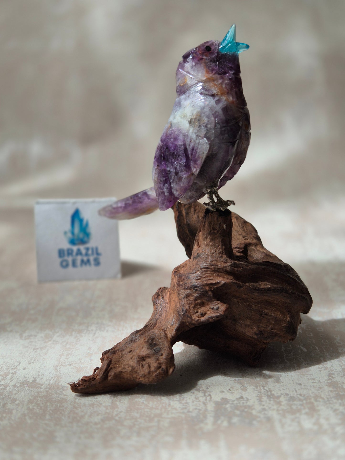 Amethyst Bird on Natural Driftwood Base