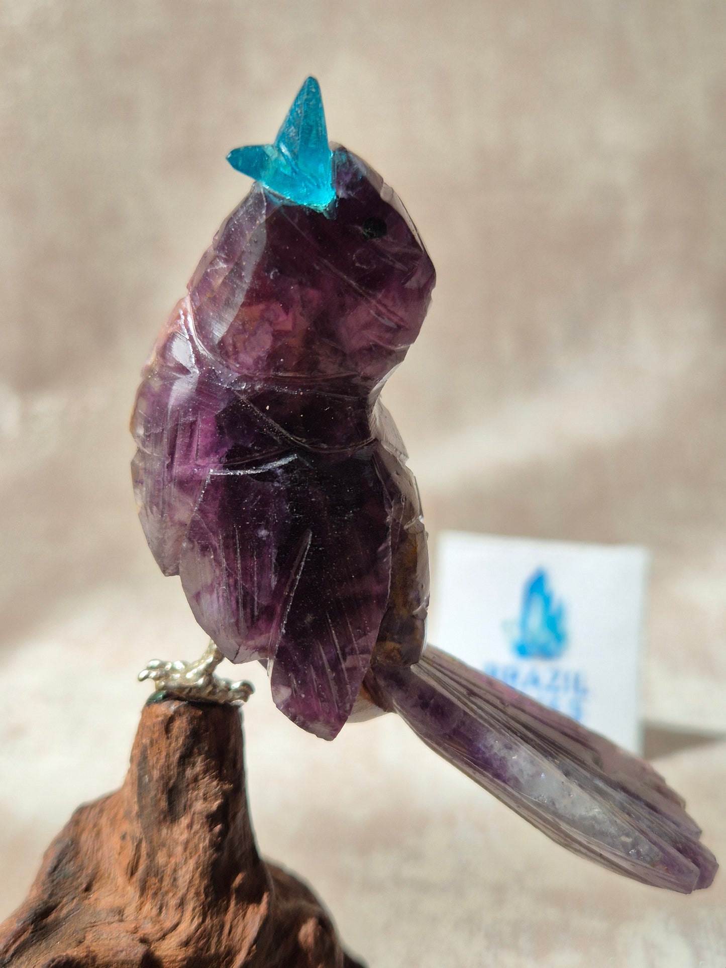 Amethyst Bird on Natural Driftwood Base