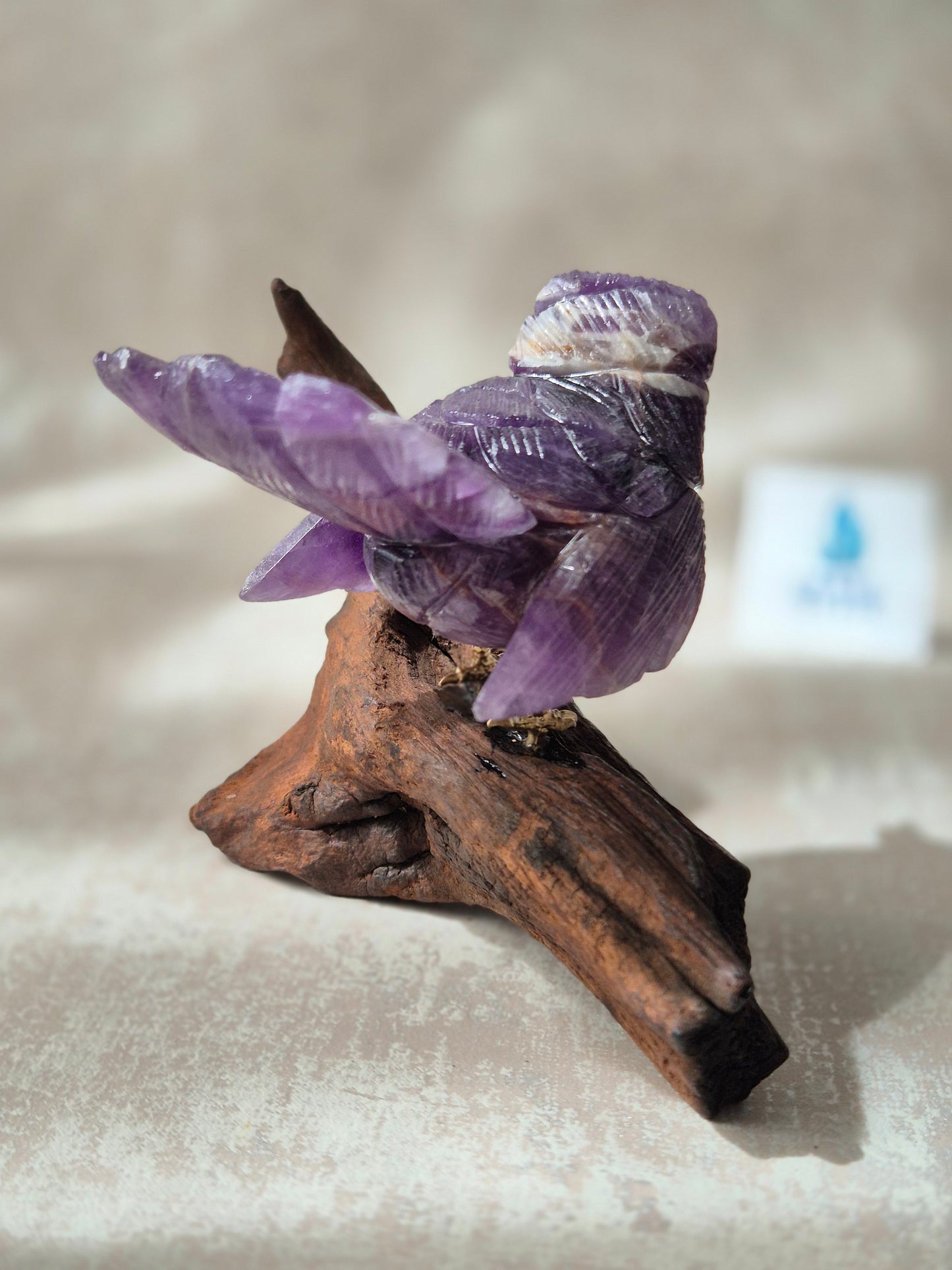 Amethyst Bird on Natural Driftwood Base